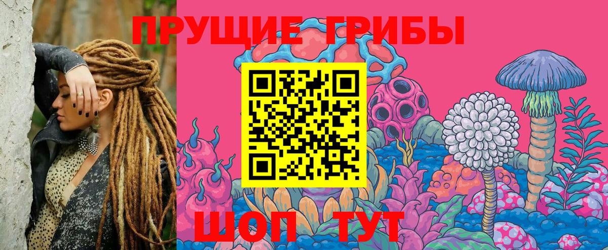 Галлюциногенные грибы Psilocybine cubensis  Псилоцибиновые грибы MAGIC MUSHROOMS  Знаменск  Вход с VPN 